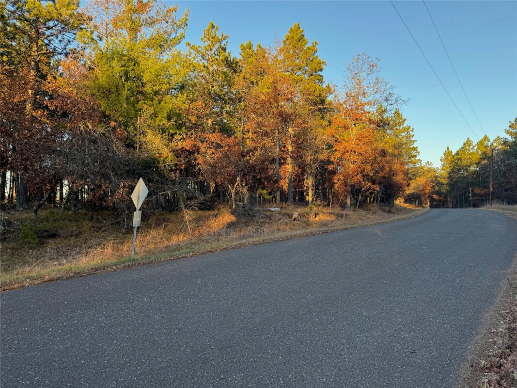 Lot 4 Big Sand Road, Minong WI 54859 - Land house for sale - MLS #1603419 - image38