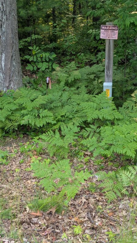 Lot 4 County Highway CC, Couderay WI 54828 - Land house for sale - MLS #1603366 - image12