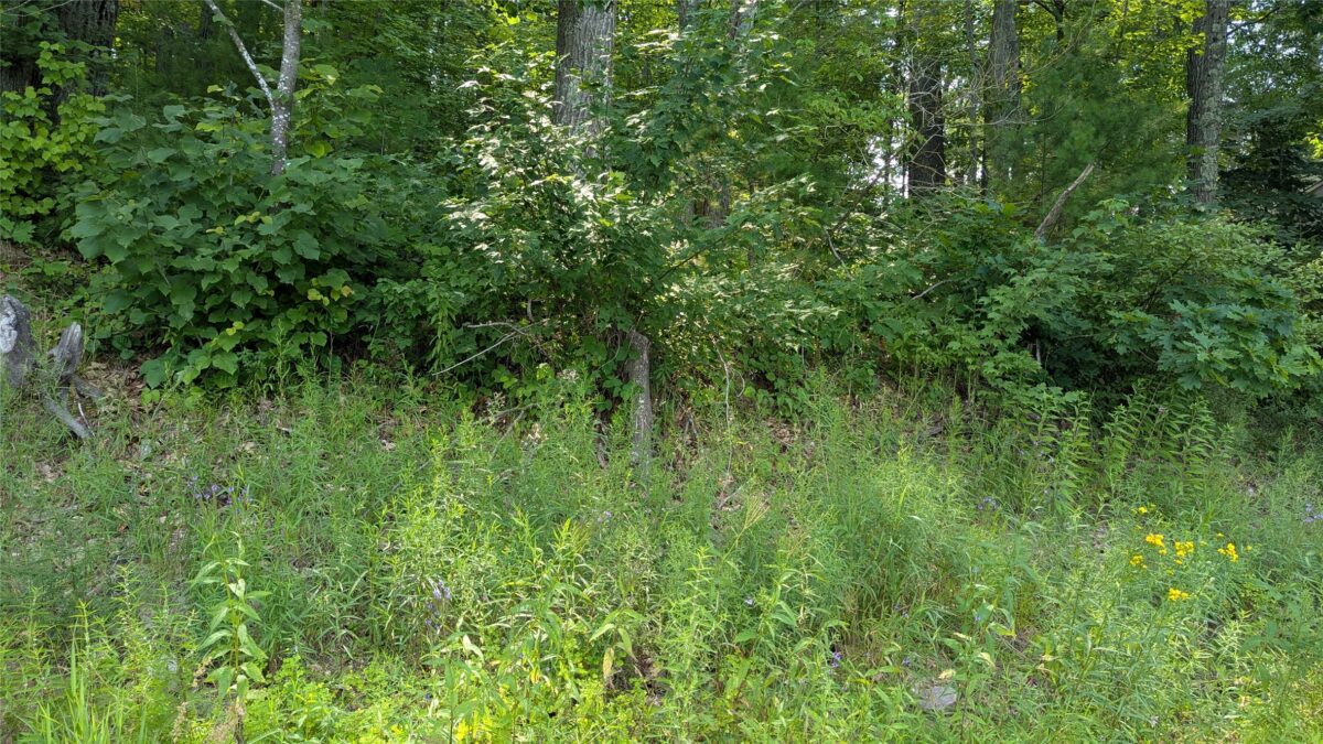 Lot 4 County Highway CC, Couderay WI 54828 - Land house for sale - MLS #1603366 - image14