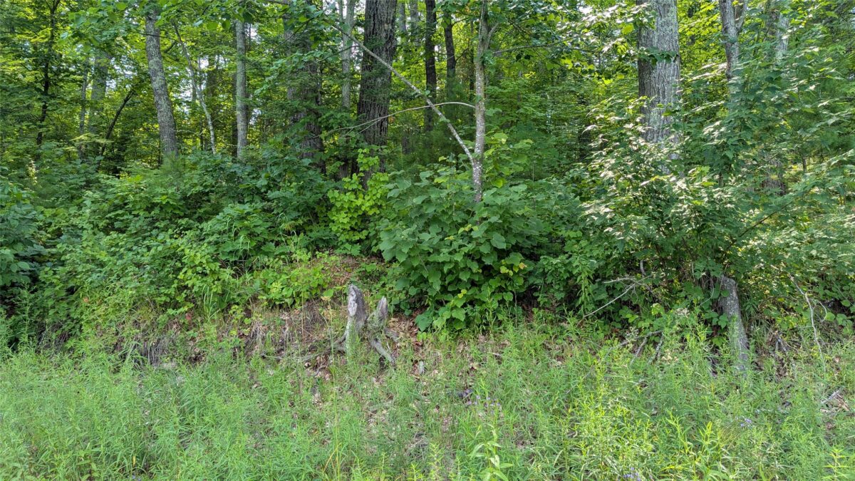 Lot 4 County Highway CC, Couderay WI 54828 - Land house for sale - MLS #1603366 - image15