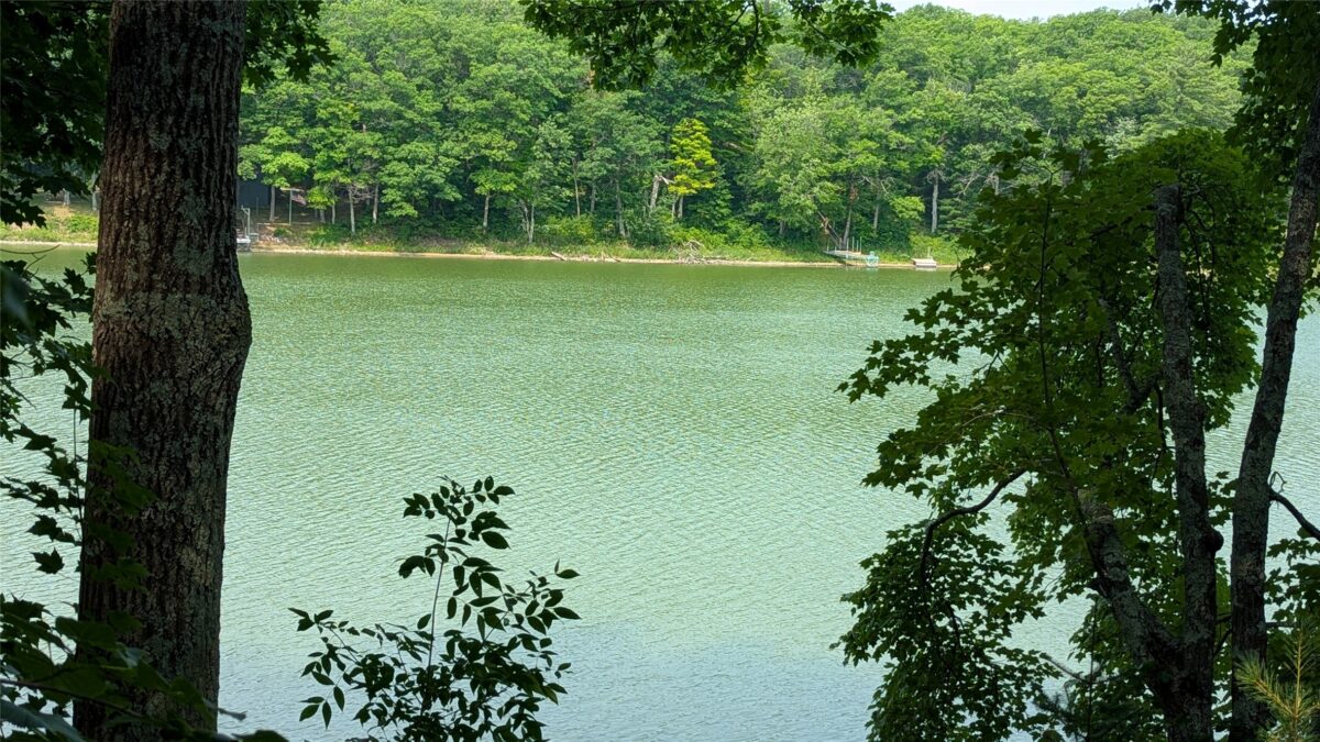 Lot 4 County Highway CC, Couderay WI 54828 - Land house for sale - MLS #1603366 - image22