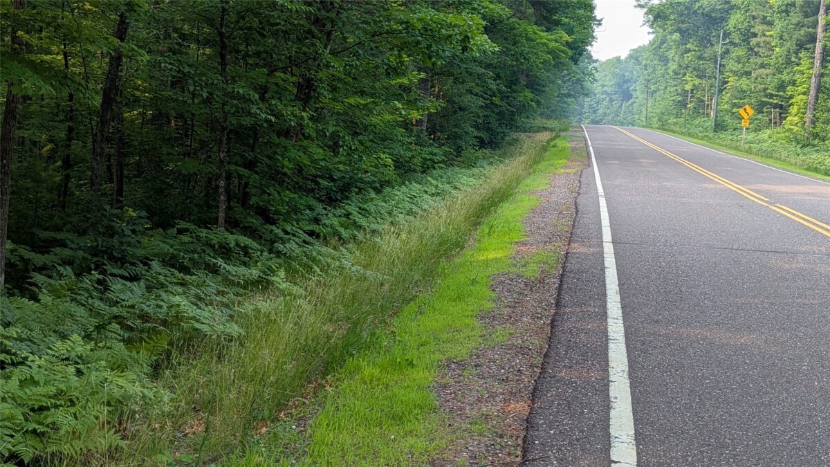 Lot 4 County Highway CC, Couderay WI 54828 - Land house for sale - MLS #1603366 - image8