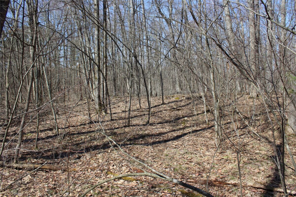 Lot 4 Resewood Avenue, Neillsville WI 54456 - Land house for sale - MLS #1599883 - image15