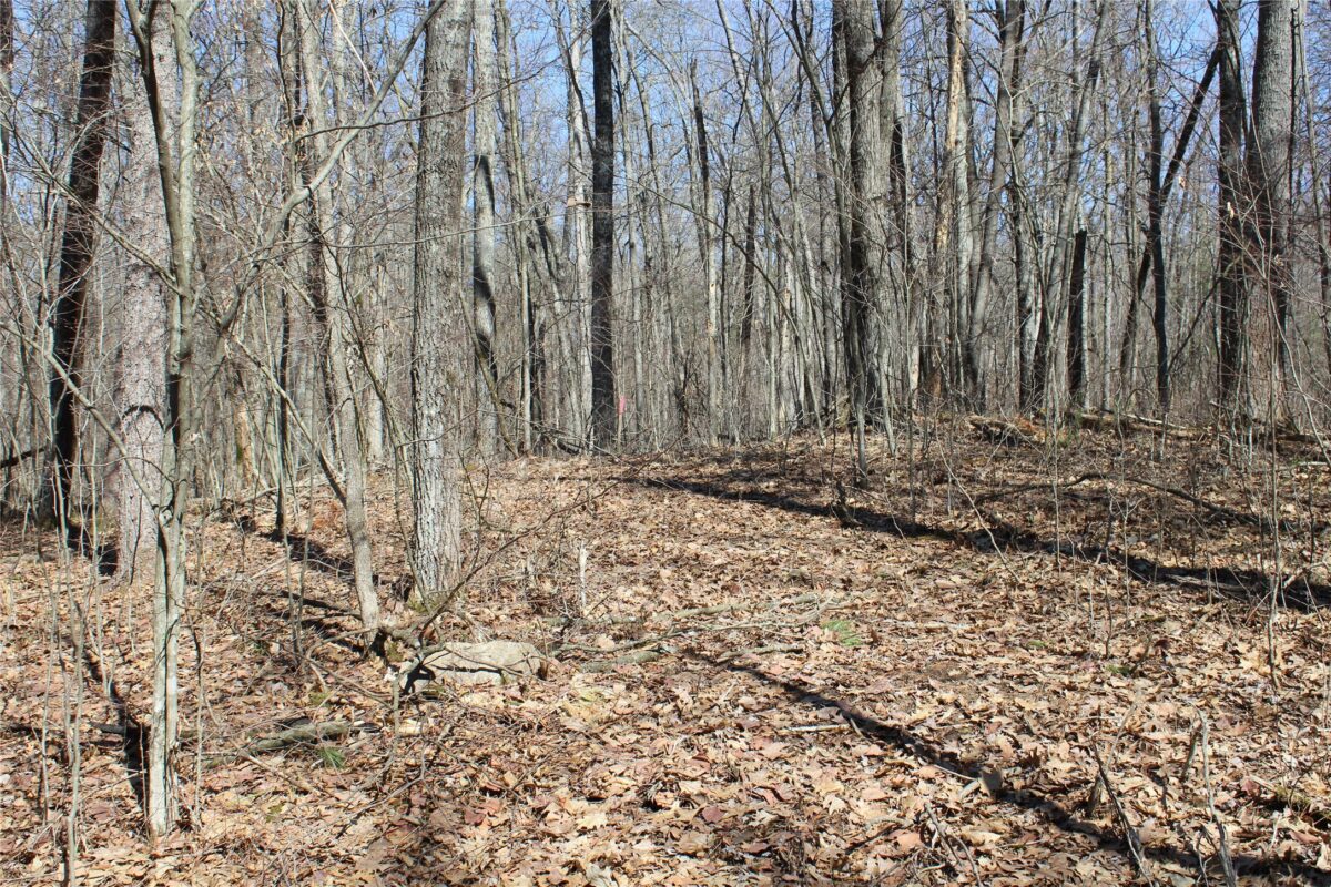 Lot 4 Resewood Avenue, Neillsville WI 54456 - Land house for sale - MLS #1599883 - image16