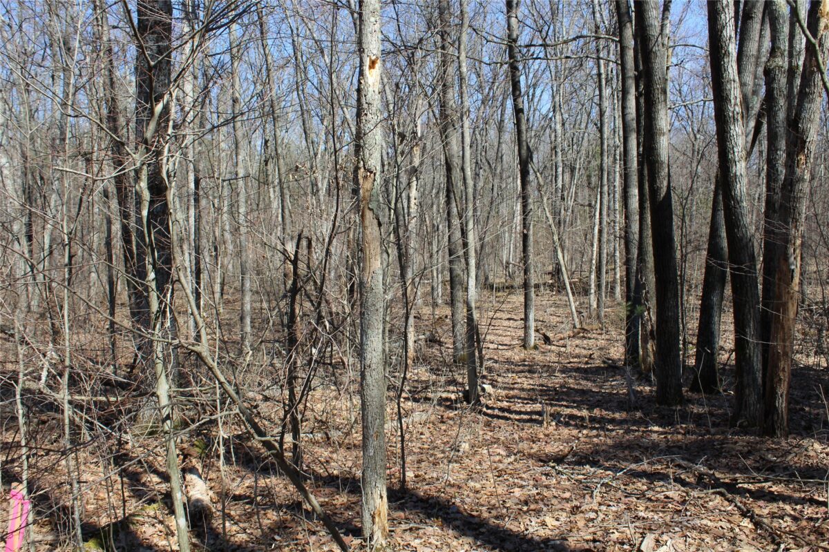 Lot 4 Resewood Avenue, Neillsville WI 54456 - Land house for sale - MLS #1599883 - image19