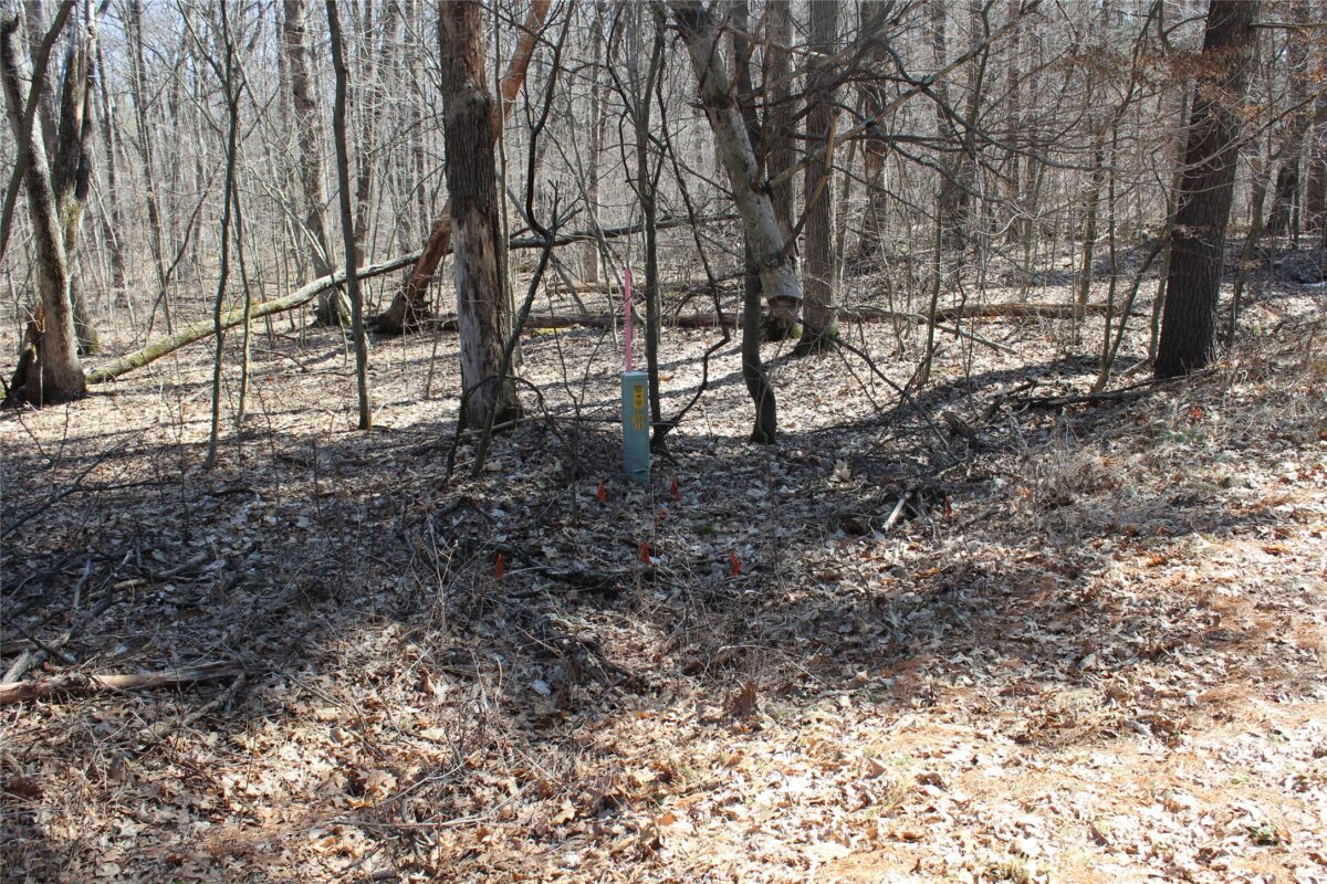 Lot 4 Resewood Avenue, Neillsville WI 54456 - Land house for sale - MLS #1599883 - image7