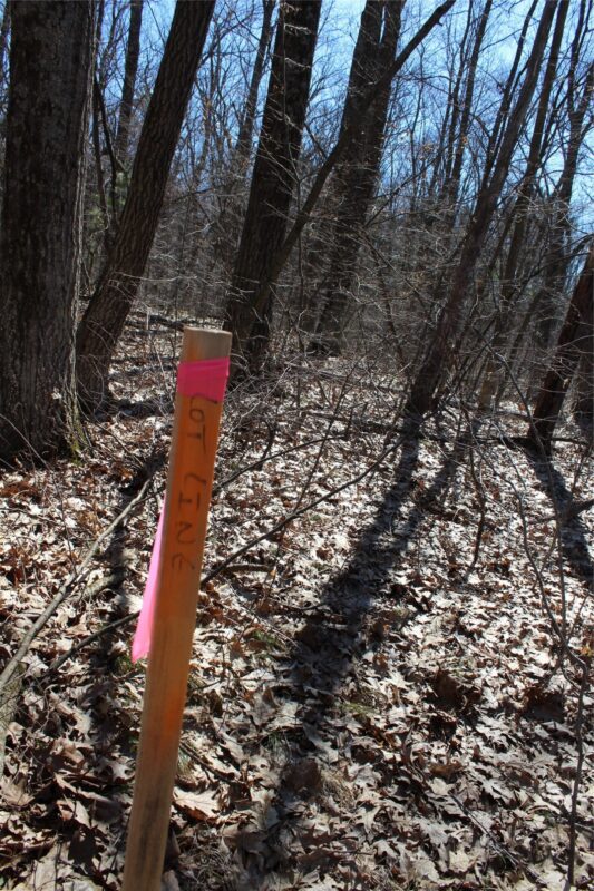 Lot 4 Resewood Avenue, Neillsville WI 54456 - Land house for sale - MLS #1599883 - image8