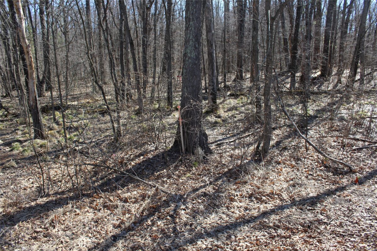 Lot 4 Resewood Avenue, Neillsville WI 54456 - Land house for sale - MLS #1599883 - image9