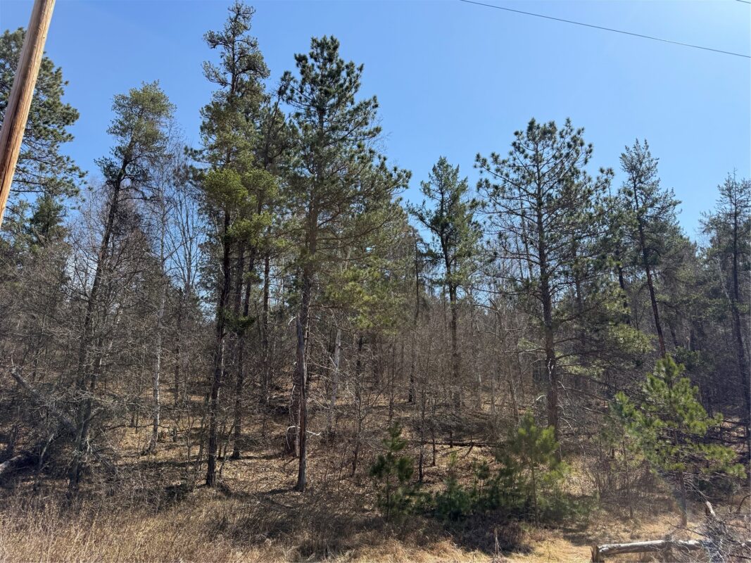 Lot 51 Aspen Lane, Barnes WI 54873 - Land house for sale - MLS #1600931 - image4
