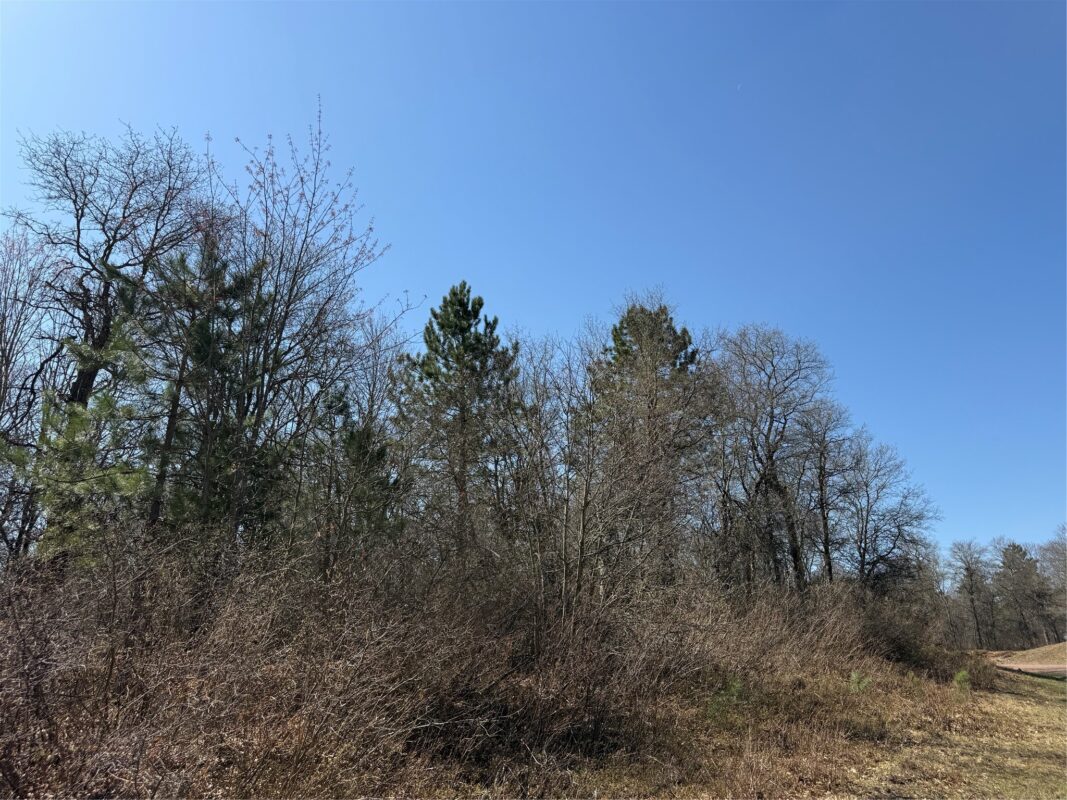 Lot 53 Wilderness Court, Barnes WI 54873 - Land house for sale - MLS #1600937 - image4