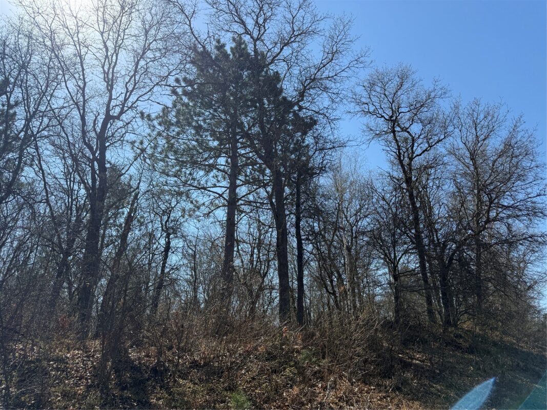 Lot 53 Wilderness Court, Barnes WI 54873 - Land house for sale - MLS #1600937 - image5