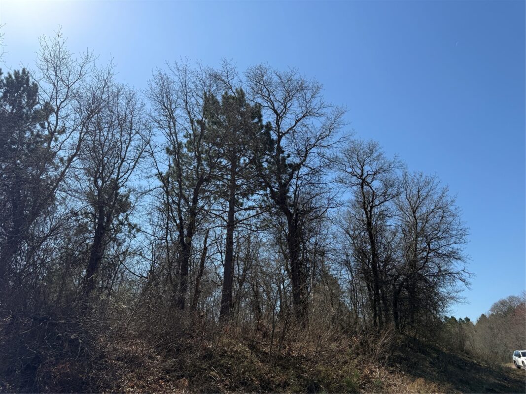 Lot 53 Wilderness Court, Barnes WI 54873 - Land house for sale - MLS #1600937 - image6