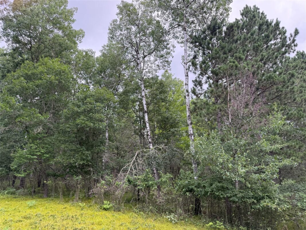 Lot 56 George Lake Road, Barnes WI 54873 - Land house for sale - MLS #1603502 - image2