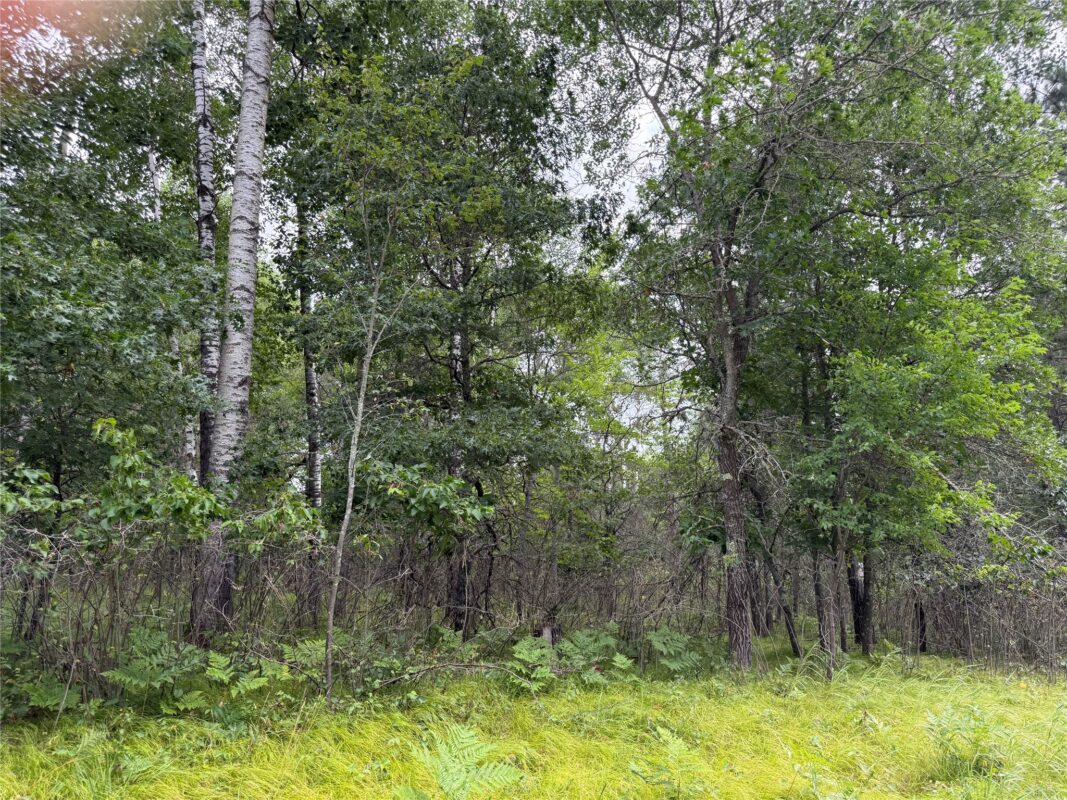 Lot 56 George Lake Road, Barnes WI 54873 - Land house for sale - MLS #1603502 - image3
