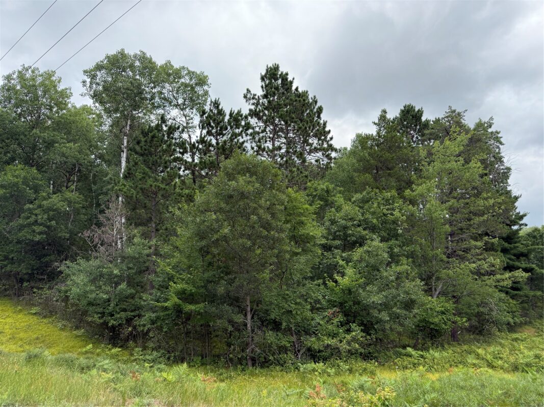 Lot 56 George Lake Road, Barnes WI 54873 - Land house for sale - MLS #1603502 - image5