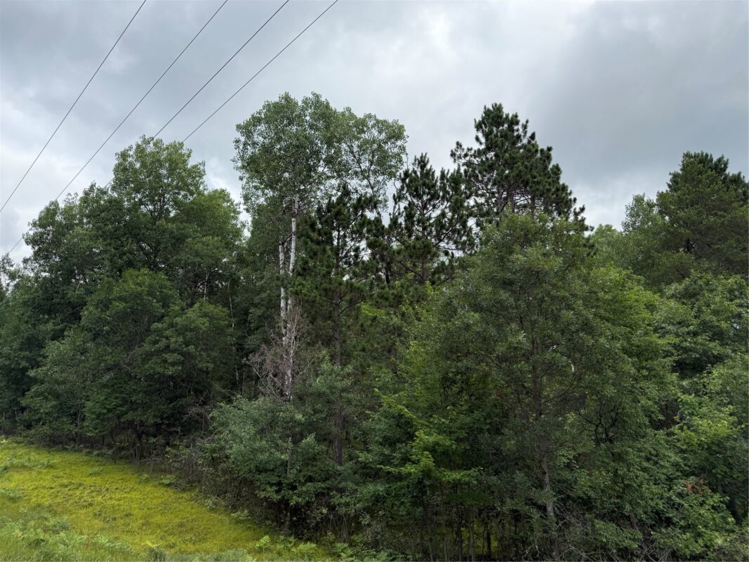Lot 56 George Lake Road, Barnes WI 54873 - Land house for sale - MLS #1603502 - image6