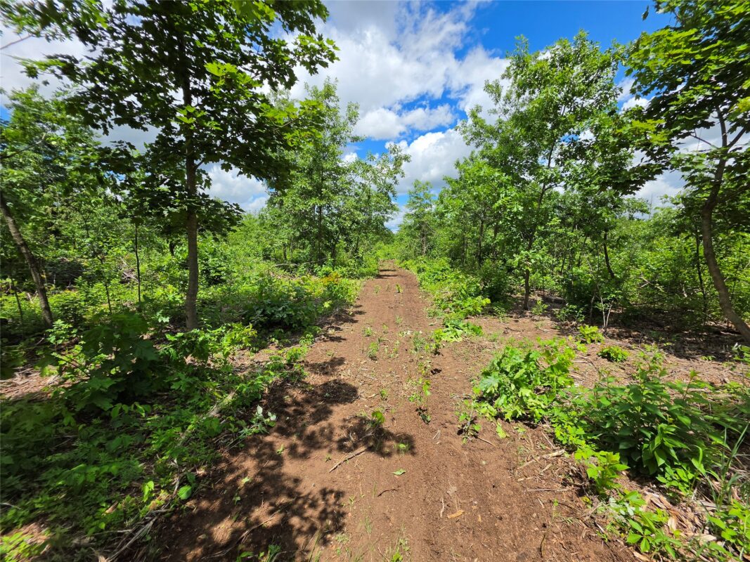 Lot 7 & 8 370th Avenue, Elk Mound WI 54739 - Land house for sale - MLS #1601390 - image11
