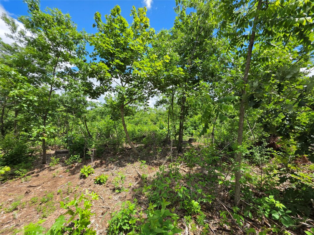 Lot 7 & 8 370th Avenue, Elk Mound WI 54739 - Land house for sale - MLS #1601390 - image12