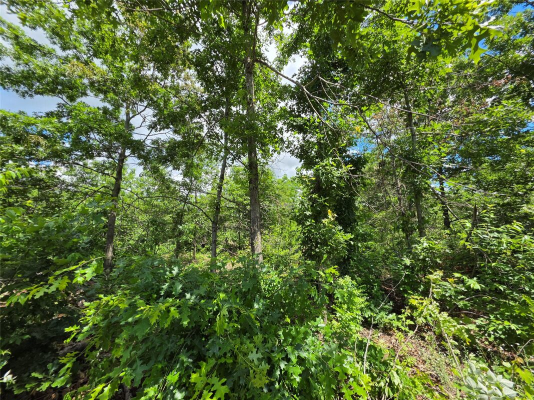 Lot 7 & 8 370th Avenue, Elk Mound WI 54739 - Land house for sale - MLS #1601390 - image13