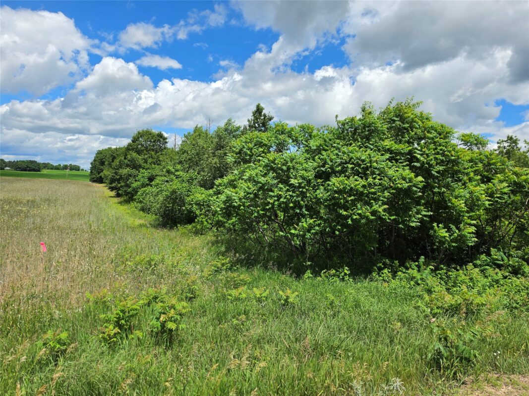 Lot 7 & 8 370th Avenue, Elk Mound WI 54739 - Land house for sale - MLS #1601390 - image14