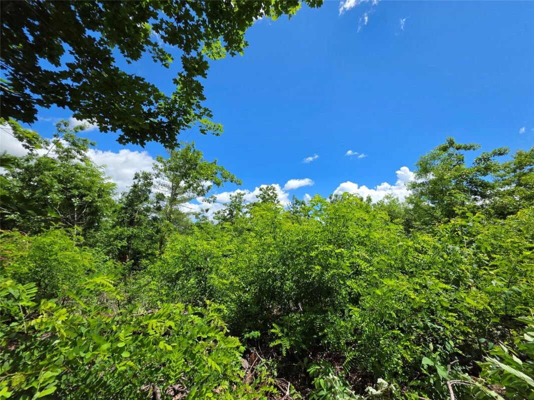 Lot 7 & 8 370th Avenue, Elk Mound WI 54739 - Land house for sale - MLS #1601390 - image15