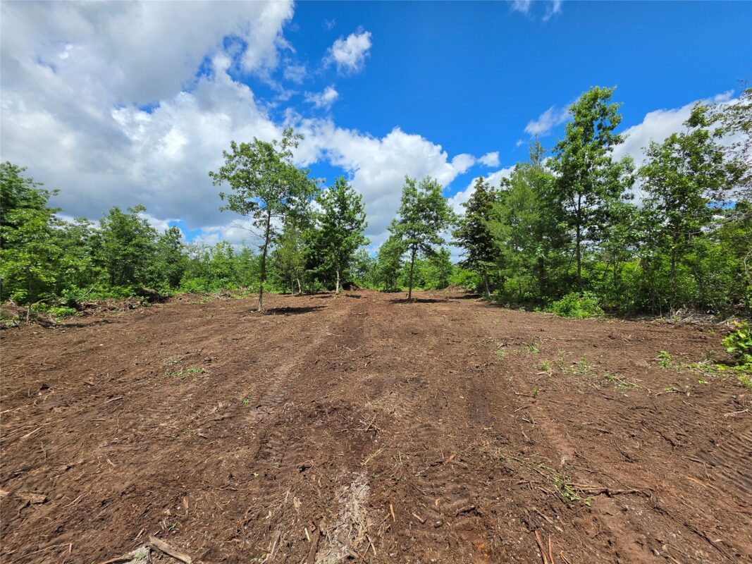 Lot 7 & 8 370th Avenue, Elk Mound WI 54739 - Land house for sale - MLS #1601390 - image3