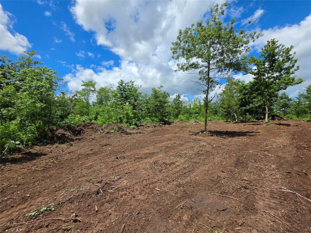 Lot 7 & 8 370th Avenue, Elk Mound WI 54739 - Land house for sale - MLS #1601390 - image4