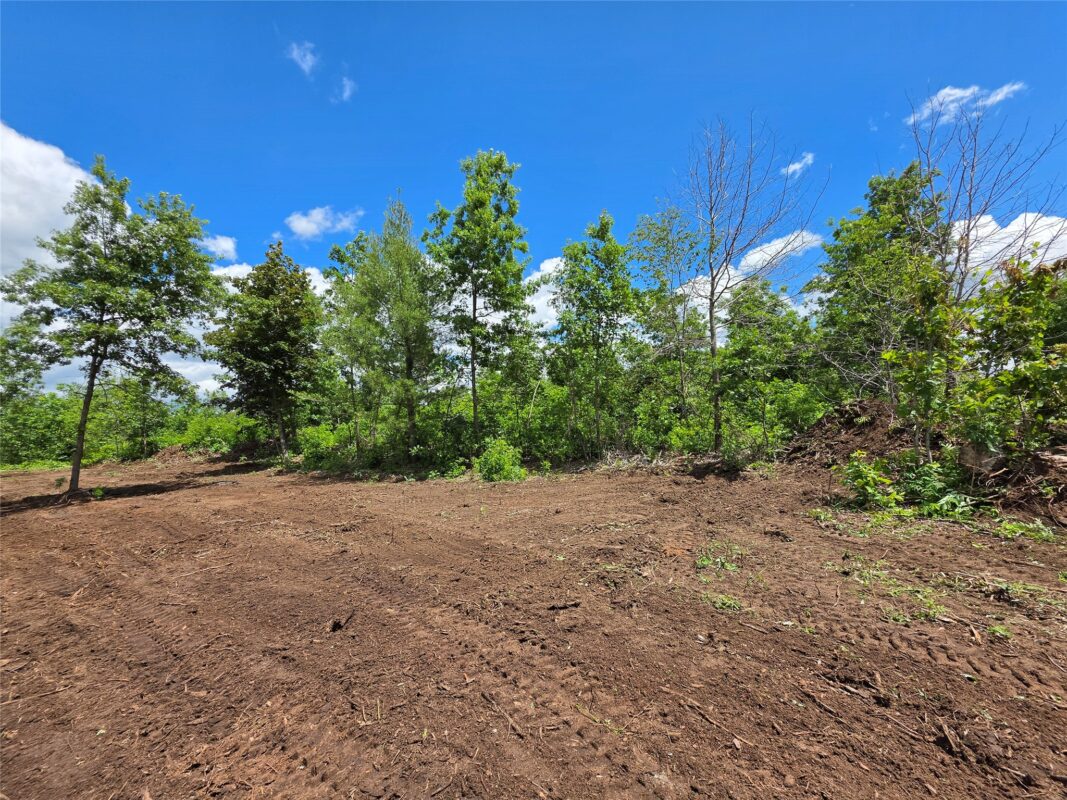 Lot 7 & 8 370th Avenue, Elk Mound WI 54739 - Land house for sale - MLS #1601390 - image5