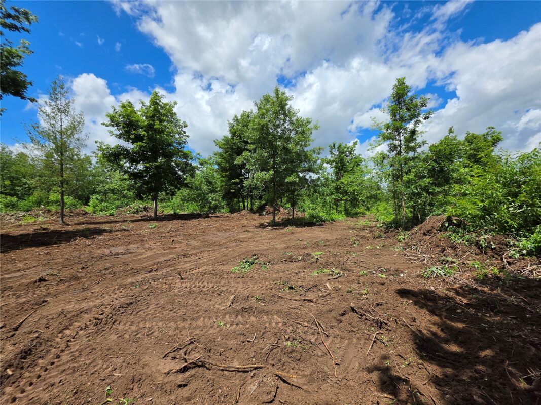 Lot 7 & 8 370th Avenue, Elk Mound WI 54739 - Land house for sale - MLS #1601390 - image6