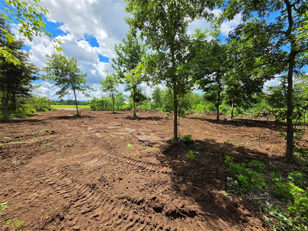 Lot 7 & 8 370th Avenue, Elk Mound WI 54739 - Land house for sale - MLS #1601390 - image7