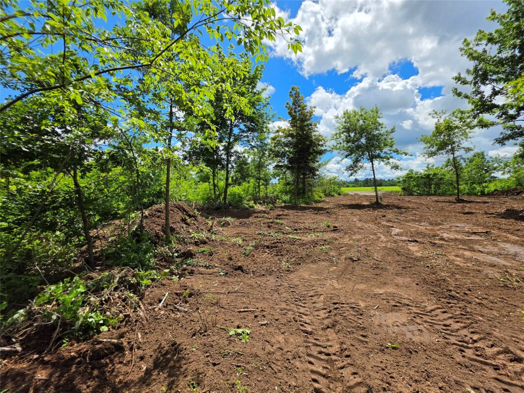 Lot 7 & 8 370th Avenue, Elk Mound WI 54739 - Land house for sale - MLS #1601390 - image8