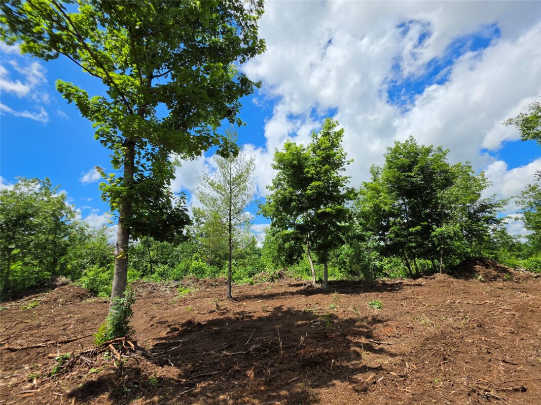 Lot 7 & 8 370th Avenue, Elk Mound WI 54739 - Land house for sale - MLS #1601390 - image9