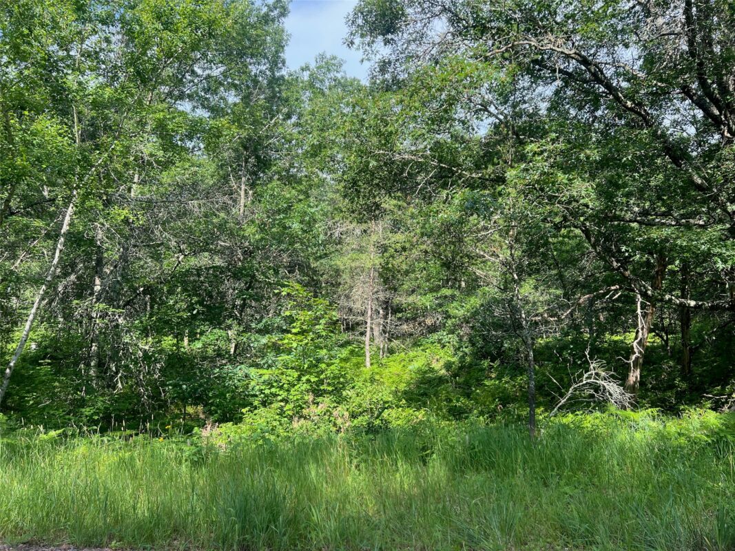 Lot 79 Setting Sun Drive, Danbury WI 54830 - Land house for sale - MLS #1602931 - image14