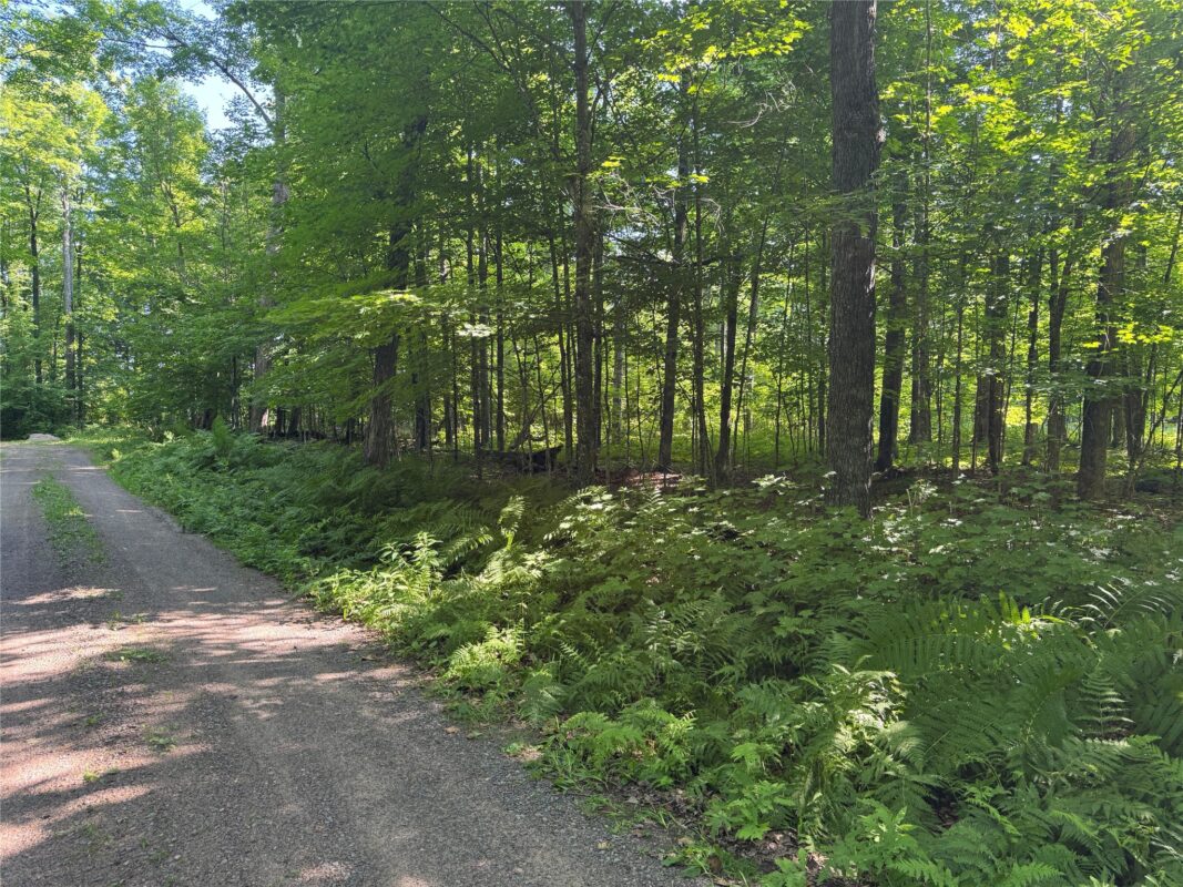 Lot 8 Crane Lane, Hayward WI 54843 - Land house for sale - MLS #1603375 - image12