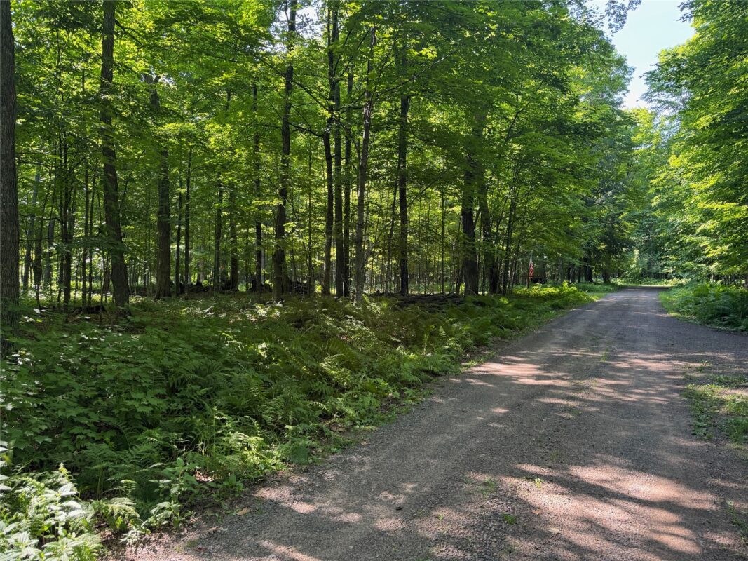 Lot 8 Crane Lane, Hayward WI 54843 - Land house for sale - MLS #1603375 - image13