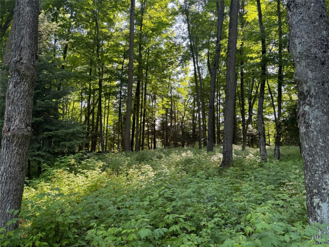 Lot 8 Crane Lane, Hayward WI 54843 - Land house for sale - MLS #1603375 - image14