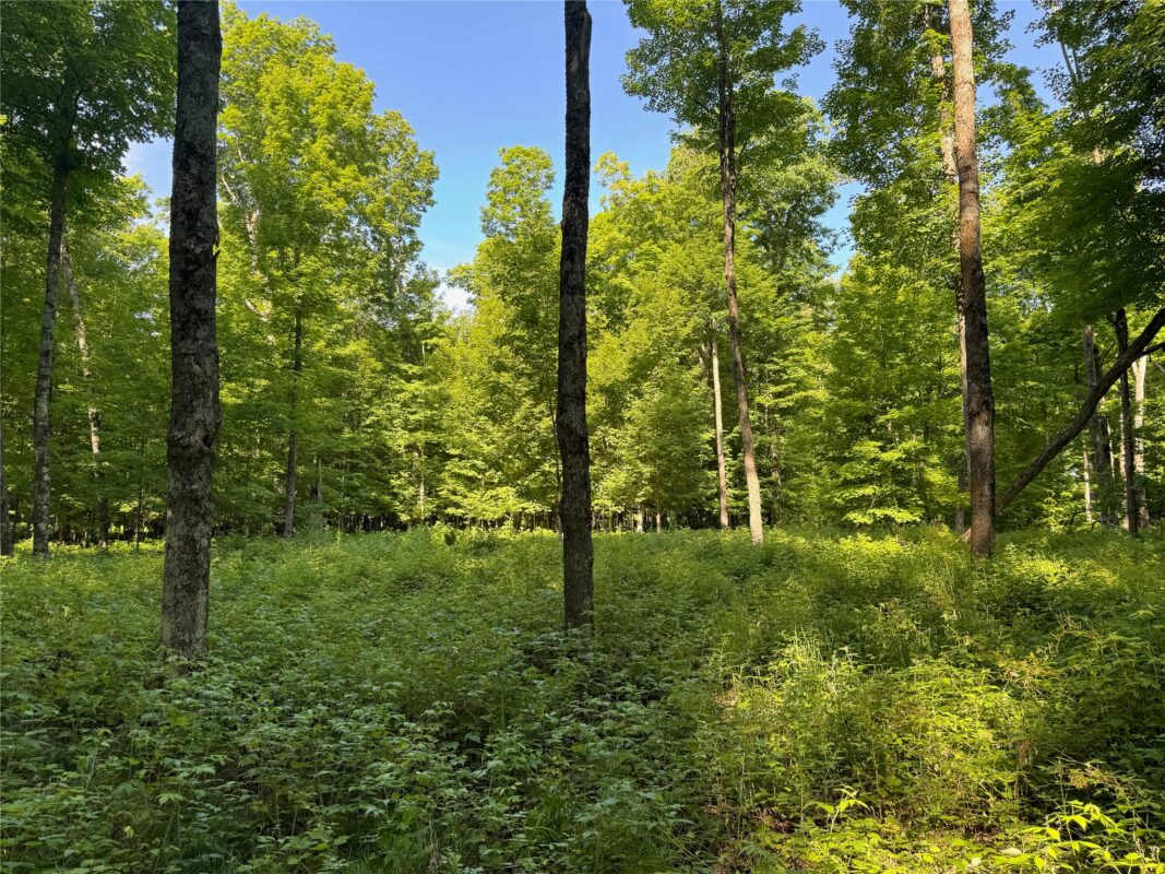 Lot 8 Crane Lane, Hayward WI 54843 - Land house for sale - MLS #1603375 - image19