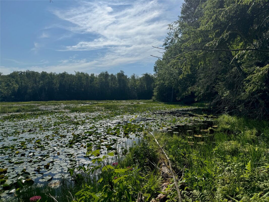 Lot 8 Crane Lane, Hayward WI 54843 - Land house for sale - MLS #1603375 - image22