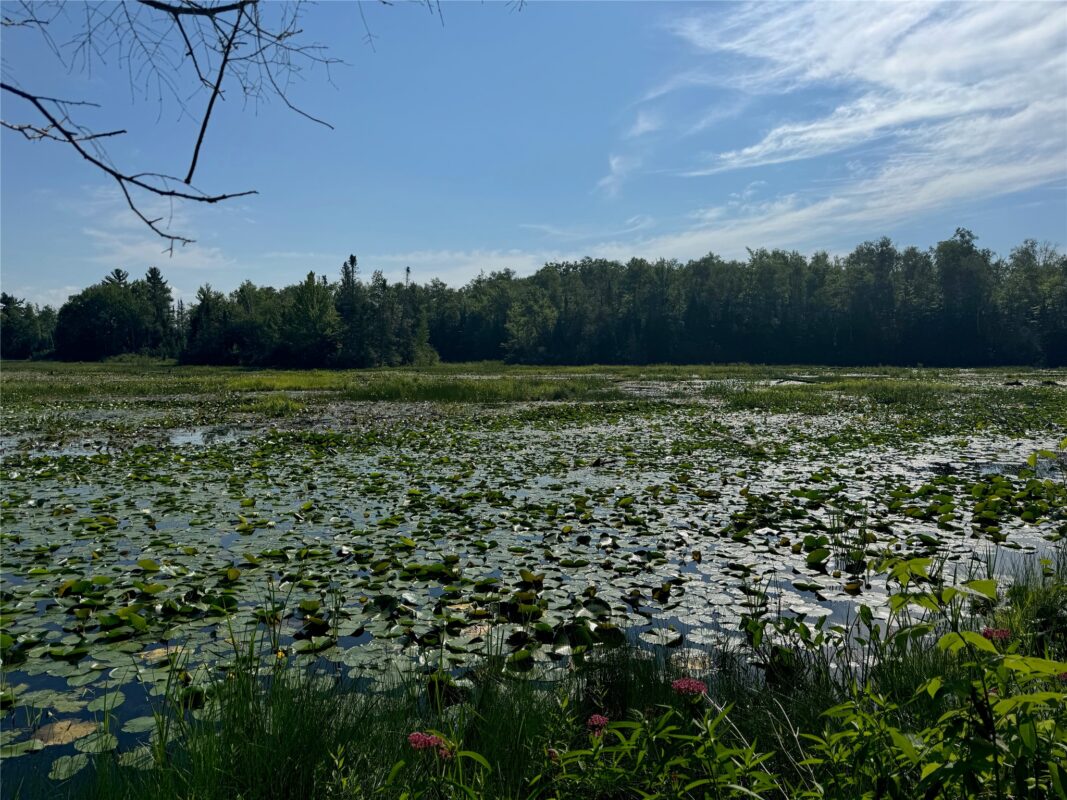 Lot 8 Crane Lane, Hayward WI 54843 - Land house for sale - MLS #1603375 - image23