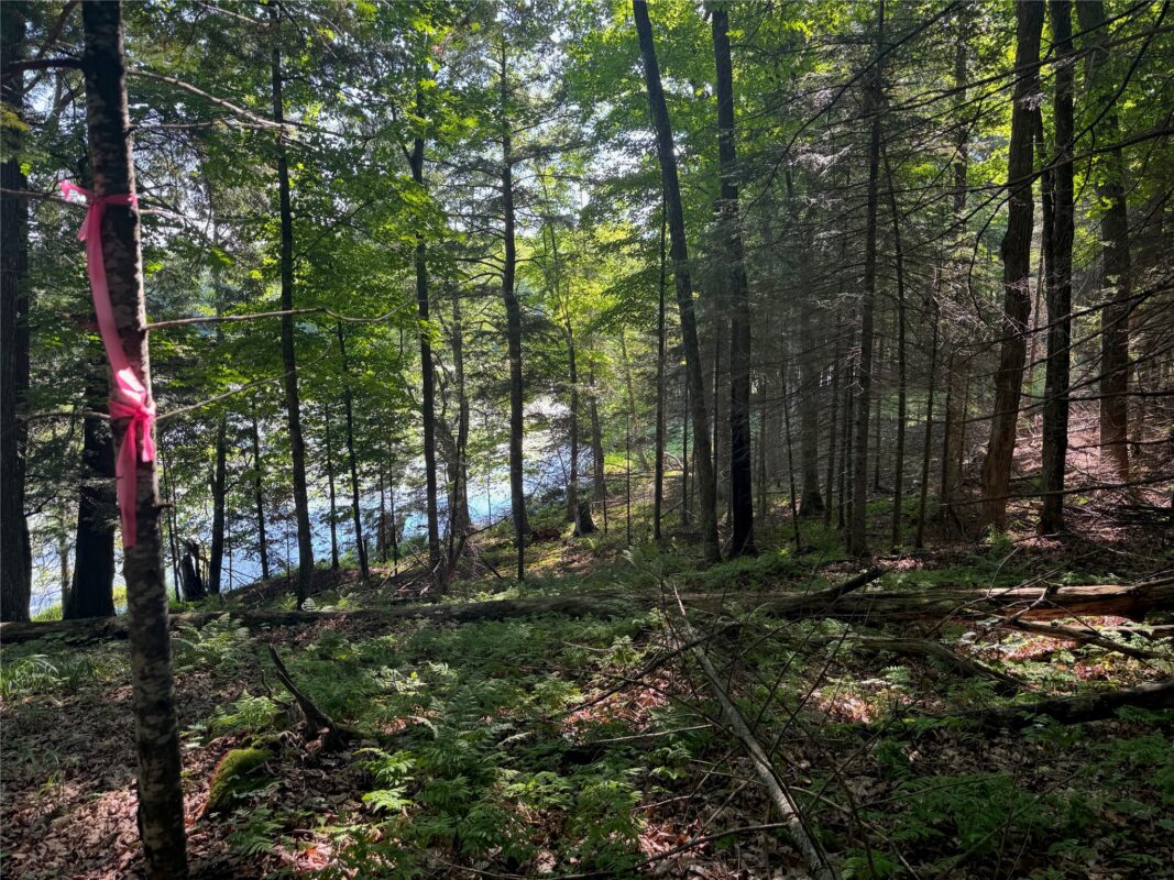 Lot 8 Crane Lane, Hayward WI 54843 - Land house for sale - MLS #1603375 - image24