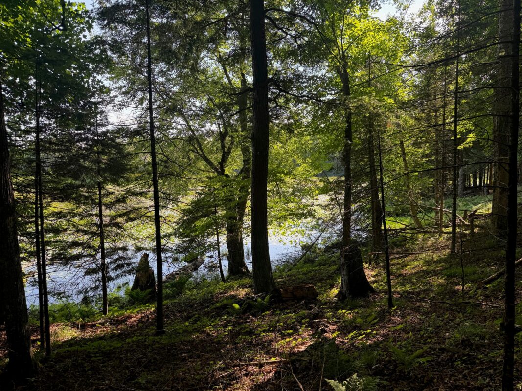 Lot 8 Crane Lane, Hayward WI 54843 - Land house for sale - MLS #1603375 - image26