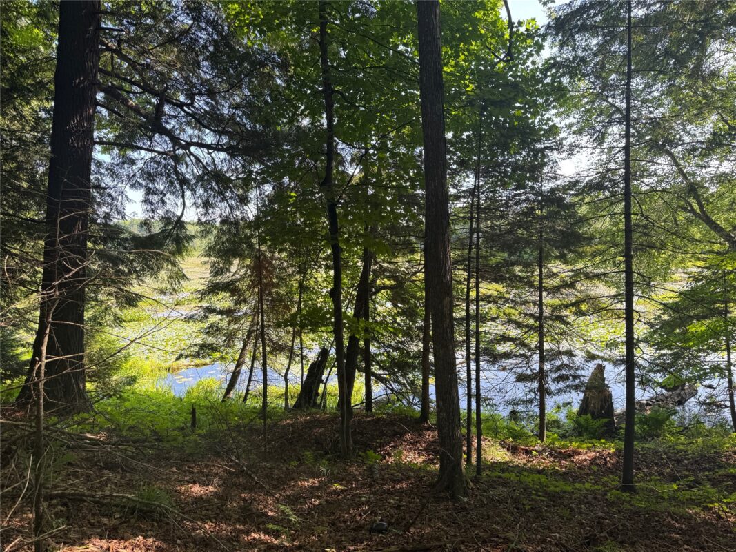 Lot 8 Crane Lane, Hayward WI 54843 - Land house for sale - MLS #1603375 - image27