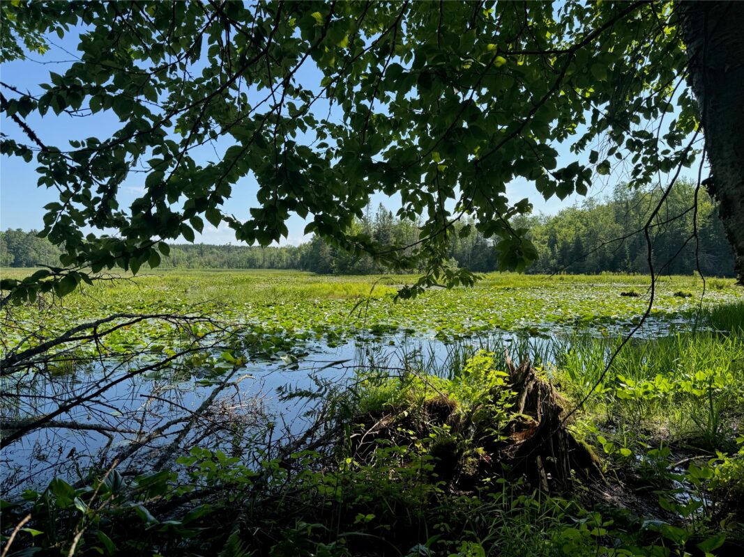 Lot 8 Crane Lane, Hayward WI 54843 - Land house for sale - MLS #1603375 - image31