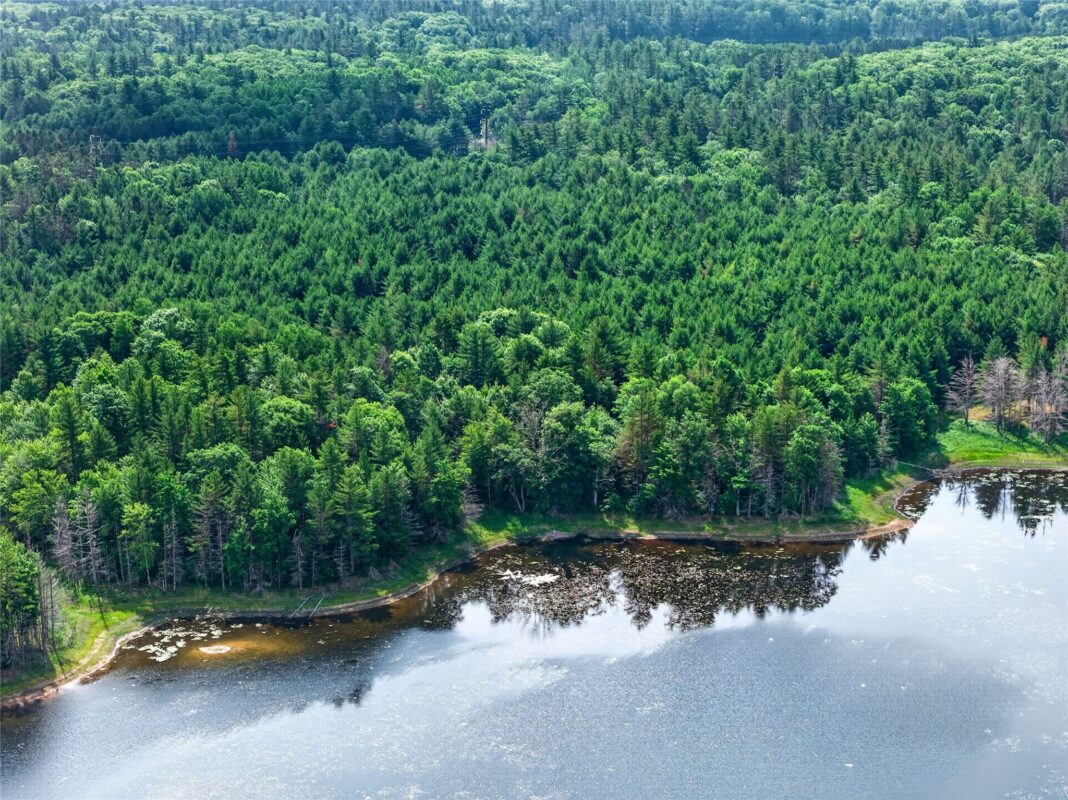 Lot A 9 Acres US Highway 63, Drummond WI 54832 - Land house for sale - MLS #1602880 - image11