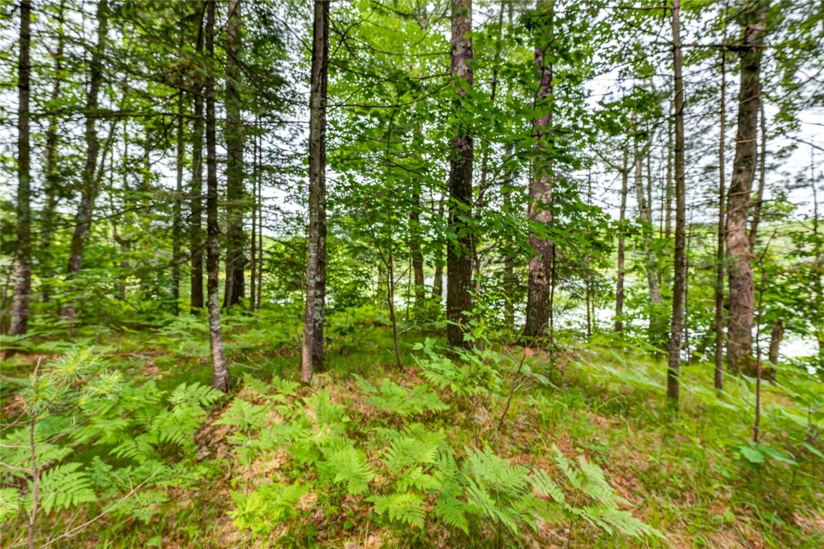 Lot A 9 Acres US Highway 63, Drummond WI 54832 - Land house for sale - MLS #1602880 - image16