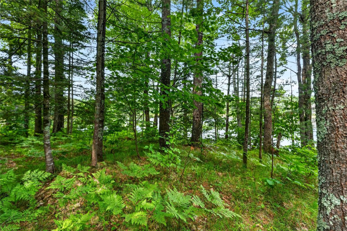 Lot A 9 Acres US Highway 63, Drummond WI 54832 - Land house for sale - MLS #1602880 - image17
