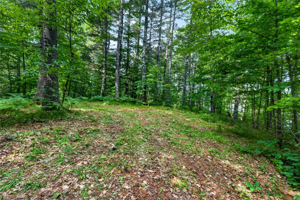 Lot A 9 Acres US Highway 63, Drummond WI 54832 - Land house for sale - MLS #1602880 - image18