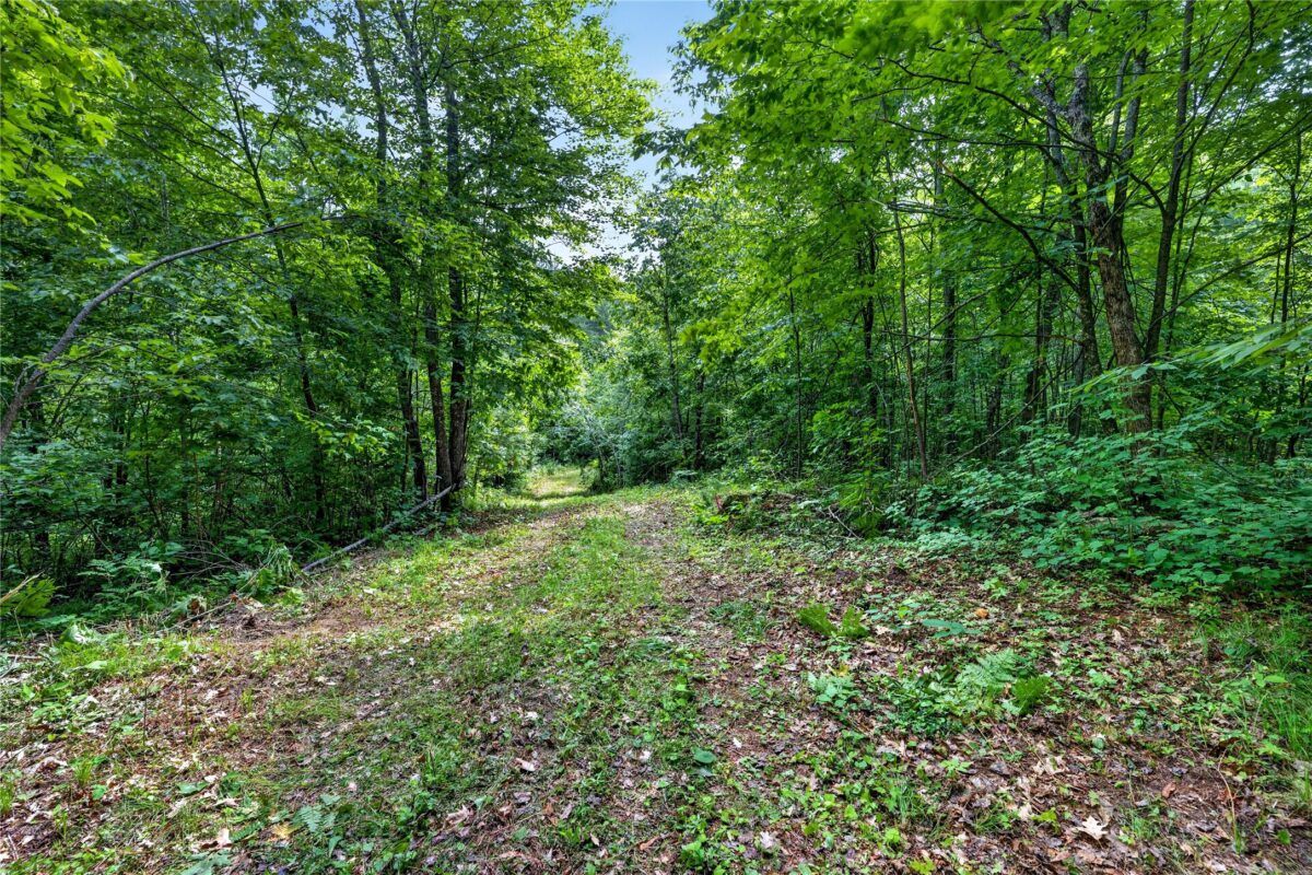 Lot A 9 Acres US Highway 63, Drummond WI 54832 - Land house for sale - MLS #1602880 - image19