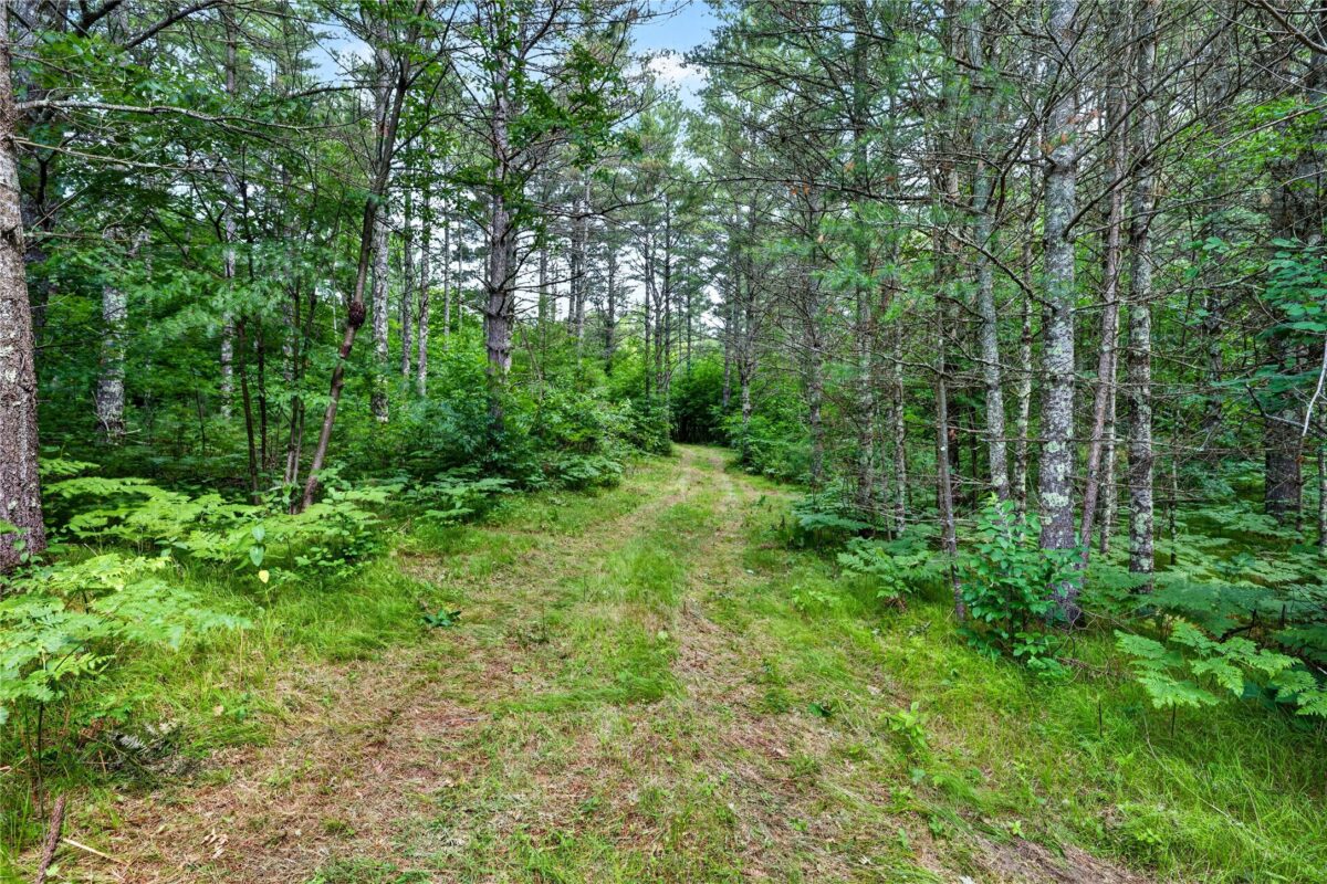 Lot A 9 Acres US Highway 63, Drummond WI 54832 - Land house for sale - MLS #1602880 - image20