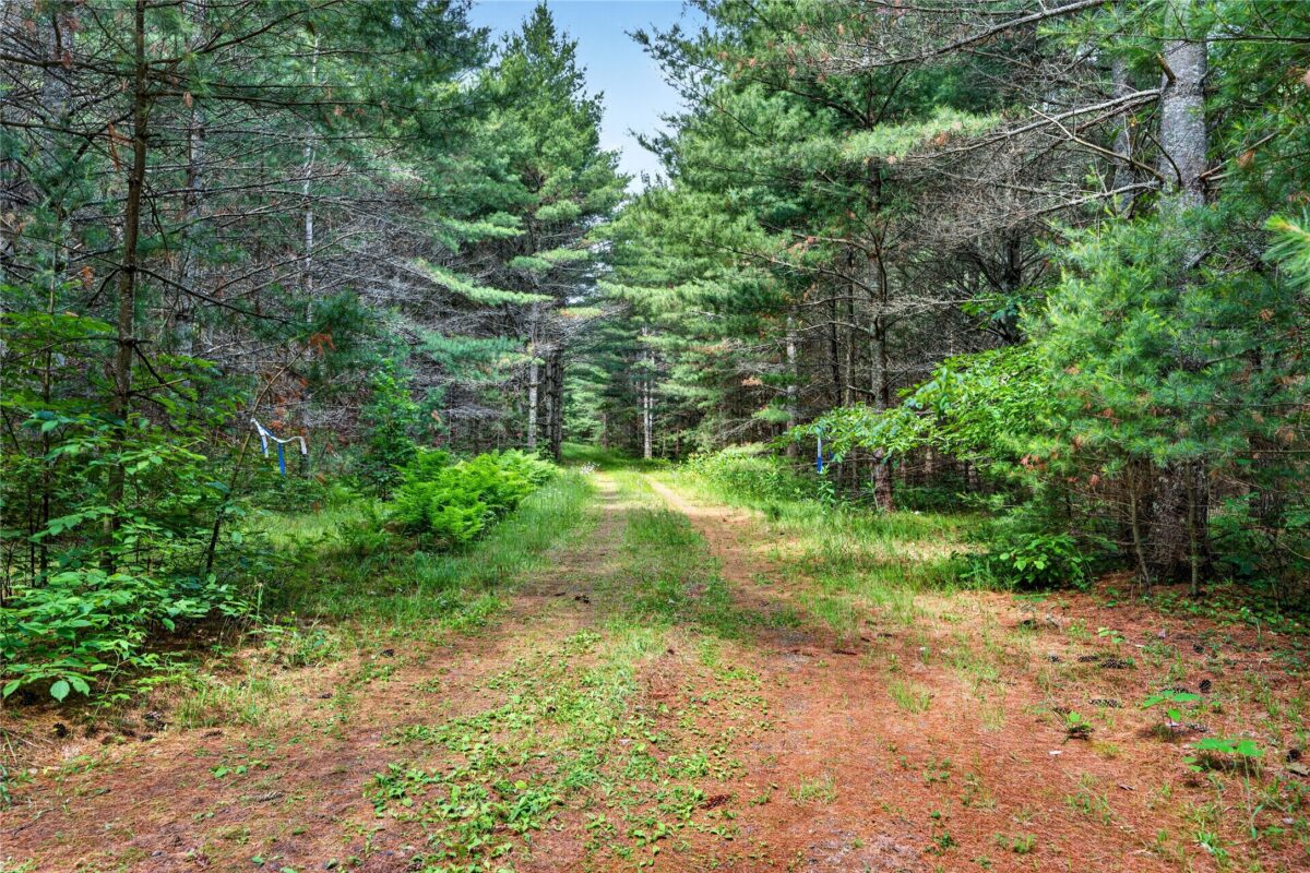 Lot A 9 Acres US Highway 63, Drummond WI 54832 - Land house for sale - MLS #1602880 - image4
